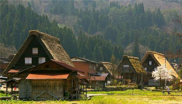 Япония деревня Сиракава