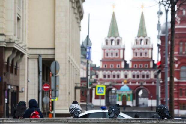 Мэр Москвы отложил введение пропускного режима Мэр Москвы отложил введение пропускного режима