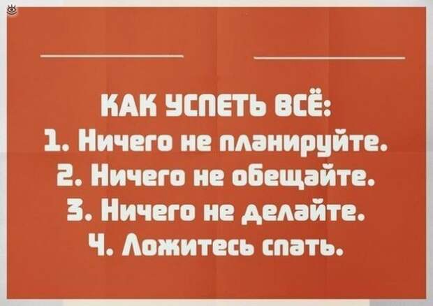 Безумные весёлости с людьми и животными 27