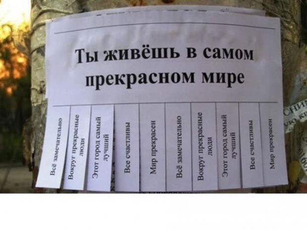 самые добрые объявления 