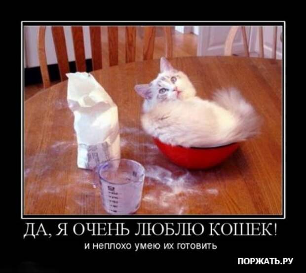 Демотиваторы, новенькое