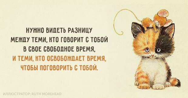 15 открыток, настраивающих на лучшее 15 открыток, настраивающих на лучшее лучшее, открытки, юмор