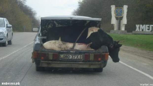 А давайте перевезем все за один раз ! груз, перевозка, юмор