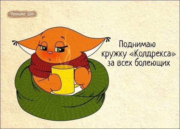 Девичья правда от белки Ши Девичья правда от белки Ши белка, рисунки