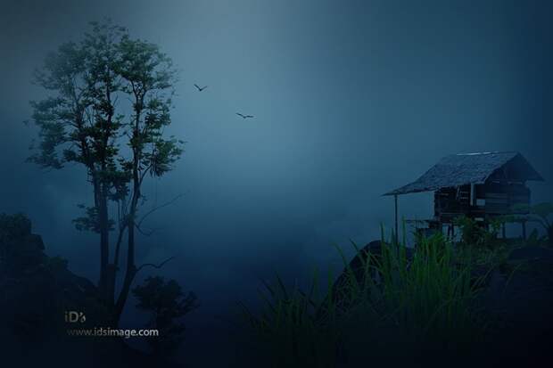 Фотограф Идрус Арсияд: сказочная природа Индонезии