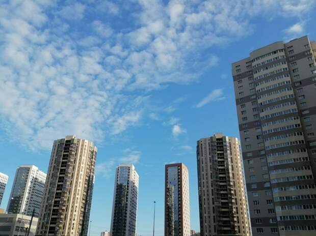 Присвоившей 494 млн рублей дольщиков жительнице Ленобласти вынесли приговор