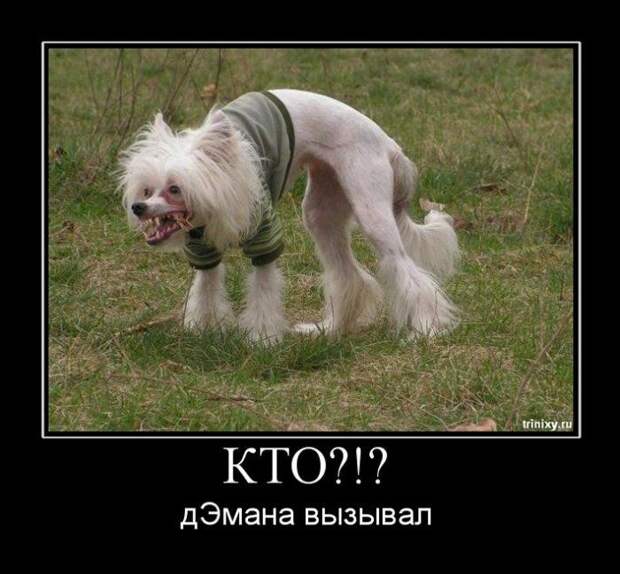 Демотиваторы (133 картинки)