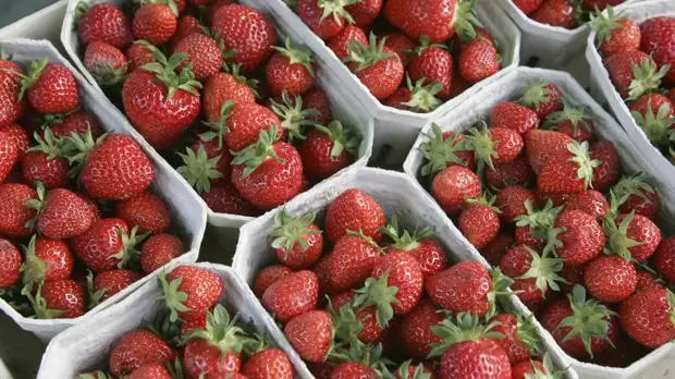 В Австралии ищут злоумышленника, подкладывающего иглы в клубнику