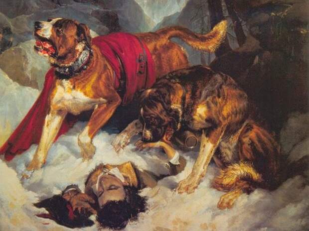 Хаски, бульдог, борзая: почему породы собак называются именно так