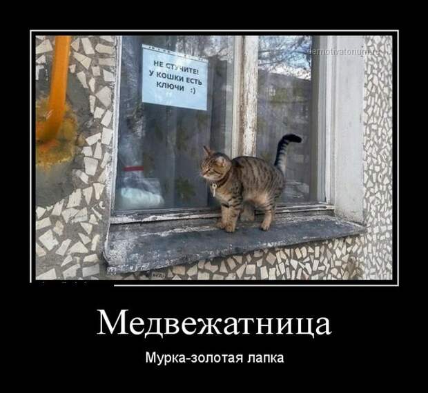 Демотиваторы демотиваторы