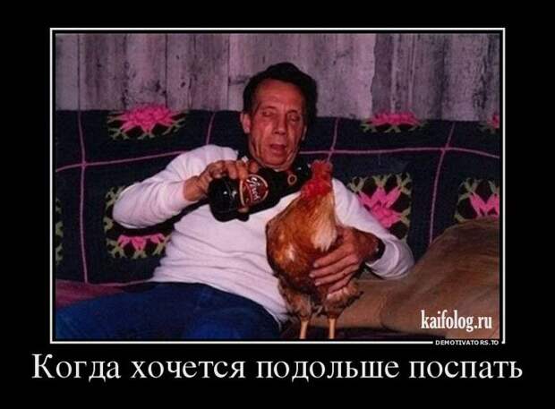Демотиваторы про пиво (60 штук) Демотиваторы про пиво (60 штук)