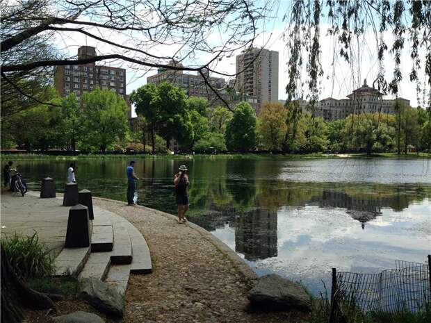 Еще несколько фотографий с телефона. Озеро Harlem Meer. США глазами туриста, туризм, факты