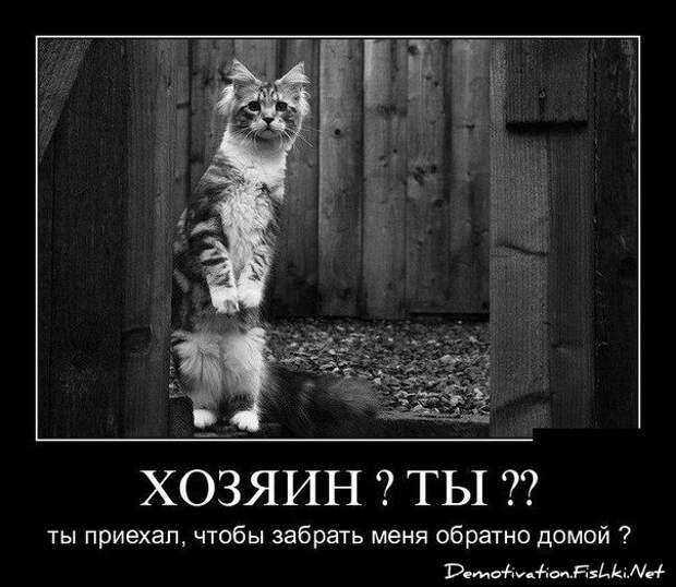 Сборник моих демотиваторов демотиватор, сборник