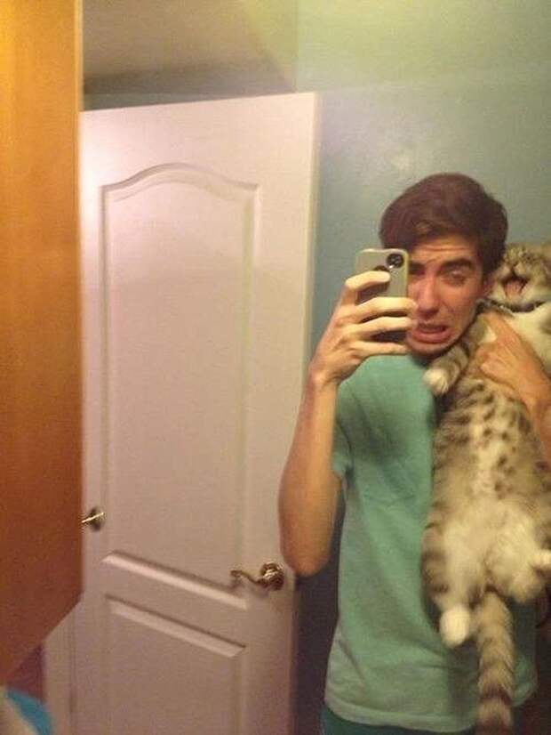 lolcats26 100 лучших фотографий кошек всех времен и народов