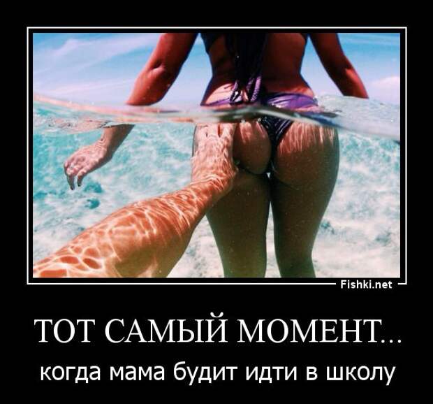 Демотиваторы демотиваторы, прикол, смех, юмор