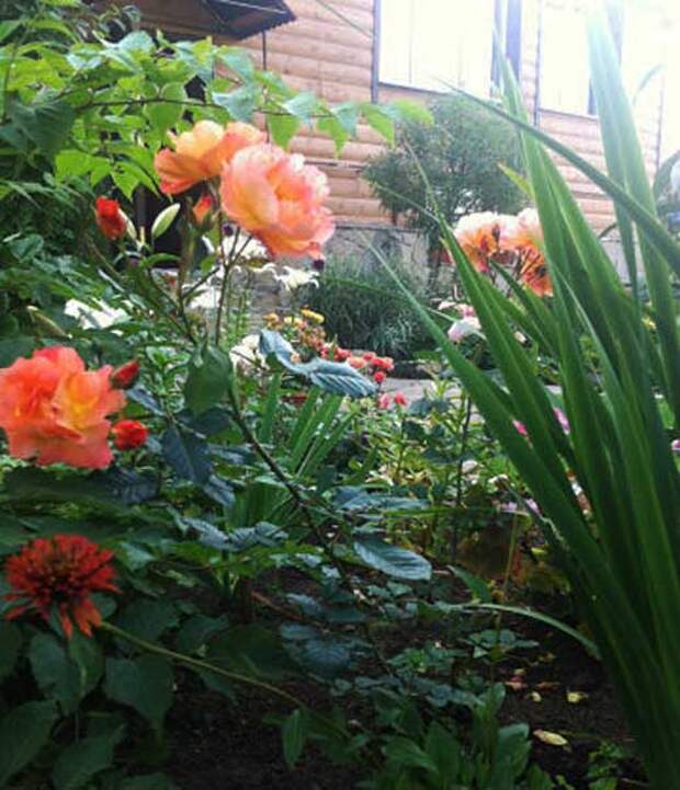 Уютный сад Цветы, сады Урала