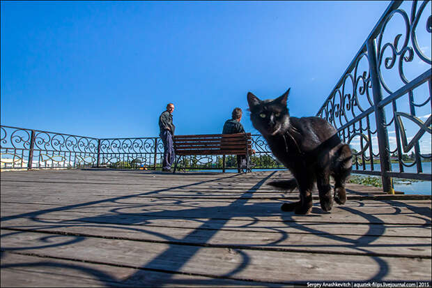 Как выглядит город, в котором мэр - не ворюга