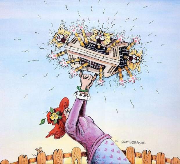 Коты-котики,теплые животики... Художник Гэри Паттерсон (Gary Patterson) (114 картинок)