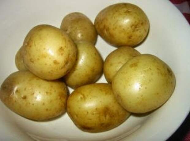 Картофель дробит камни в почках
