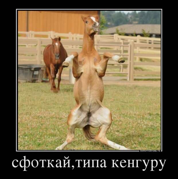Демотиваторы демотиваторы