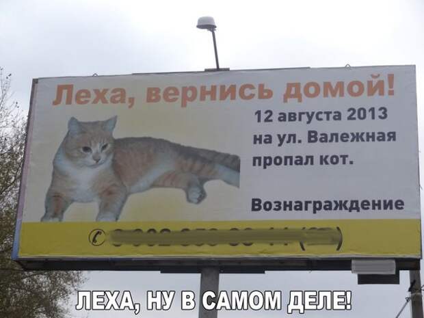 Смешные картинки с надписями прикол, юмор