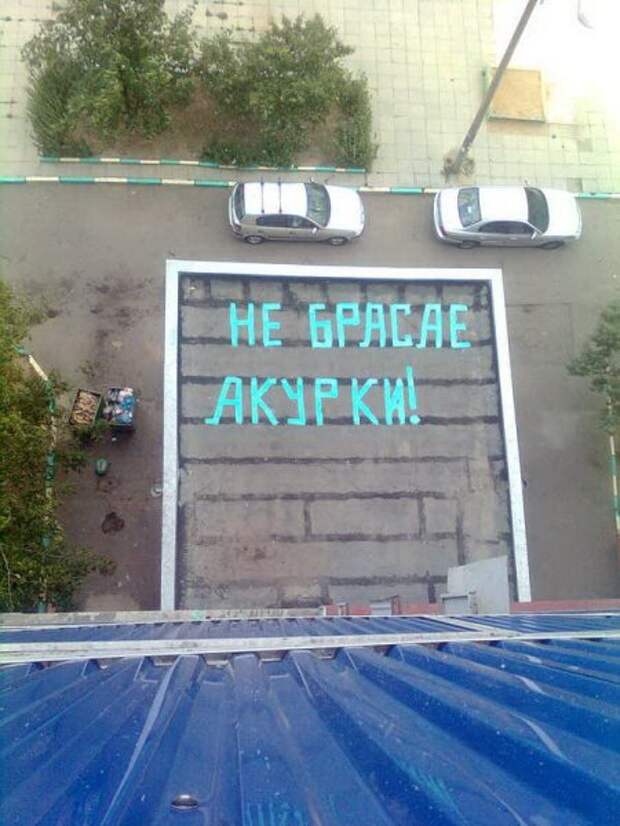 Фото приколы, что бы улыбаться чаще.