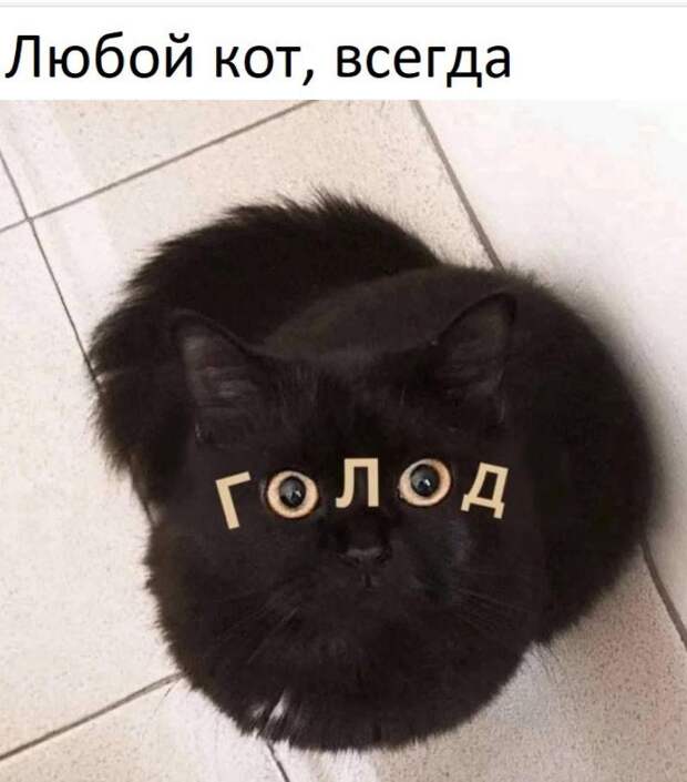 картинки прикольные смешные (4)