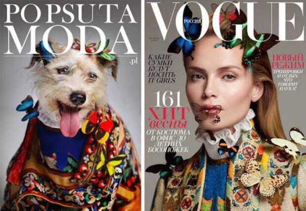 Кампания "Po Psu Ta Moda", с помощью которой собаки из приюта обретают дом (11 фото)