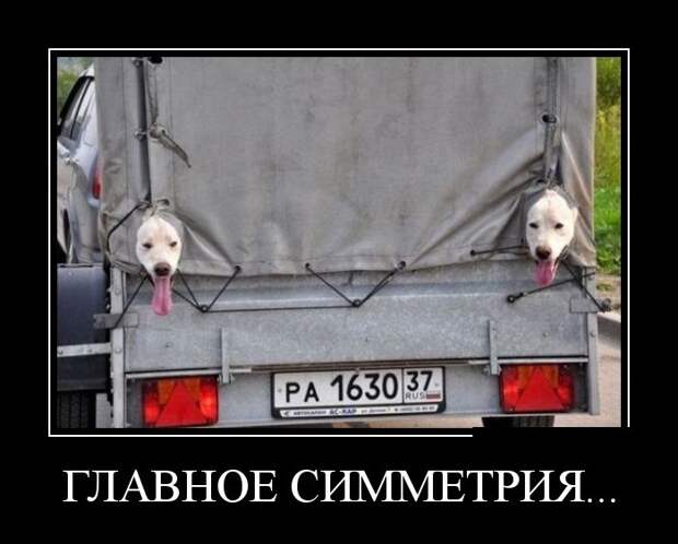 Демотиваторы (30 фото)