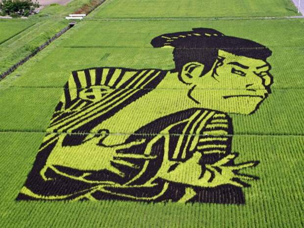 these-rice-fields-in-japan-look-like-ordinary-rice-fields-but-take-a-look-what-happens-next-artnaz-com-8