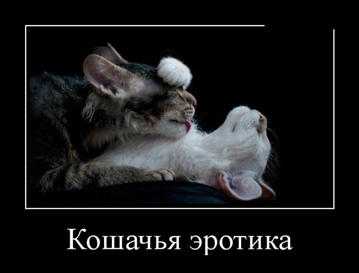 Демотиваторы (30 фото) Демотиваторы (30 фото)