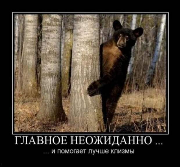 Демотиваторы без мата.