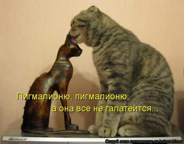 Котоматрицы (картинки с подписями)