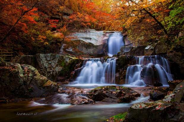 Фотография Autumn falls автор Jaewoon U на 500px