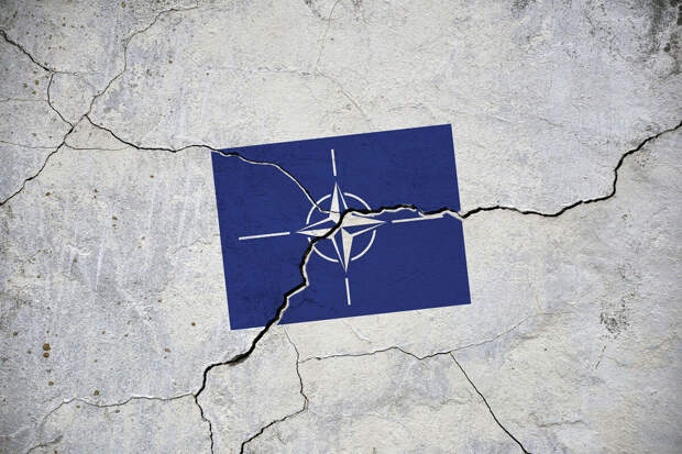 Спикер парламента Словении: в стране пройдет референдум о выходе из НАТО