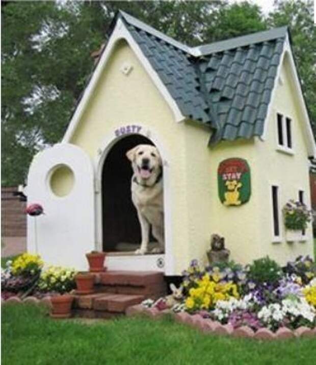 doghouse