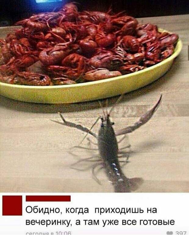 Умение отжигать в комментариях - это практически талант Умение отжигать в комментариях - это практически талант интересно, комментарии, посты, приколы, смешно, соцсети, юмор