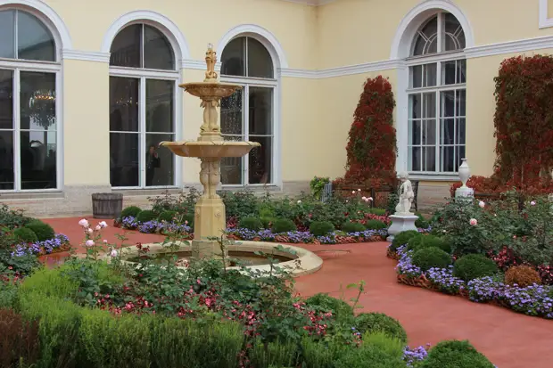 ������� ������-��������� ���������... ������� ��� � ��������