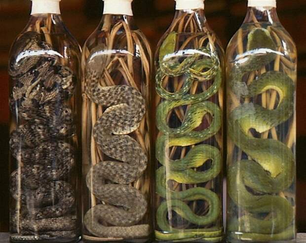 10 самых необычных алкогольных напитков в мире