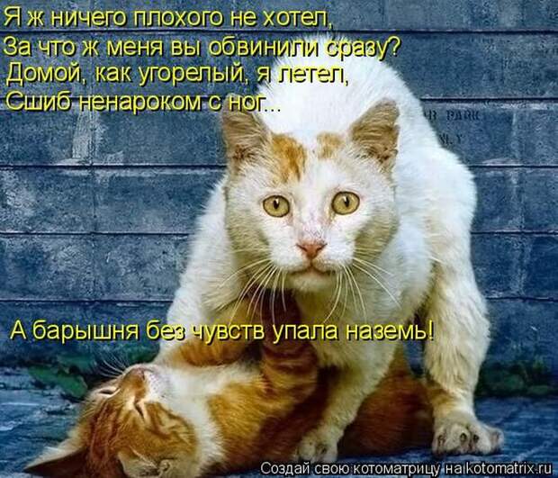 Мысли вслух :)