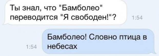 Прикольные комментарии из соцсетей (23 фото)
