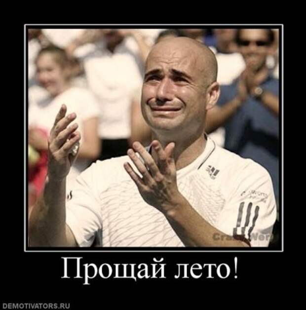 Мои любимые демотиваторы