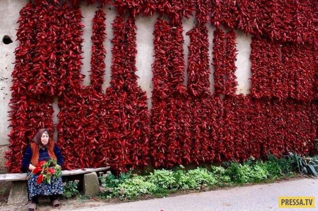 Прикольные фотографии - Субботний выпуск (53 фото)