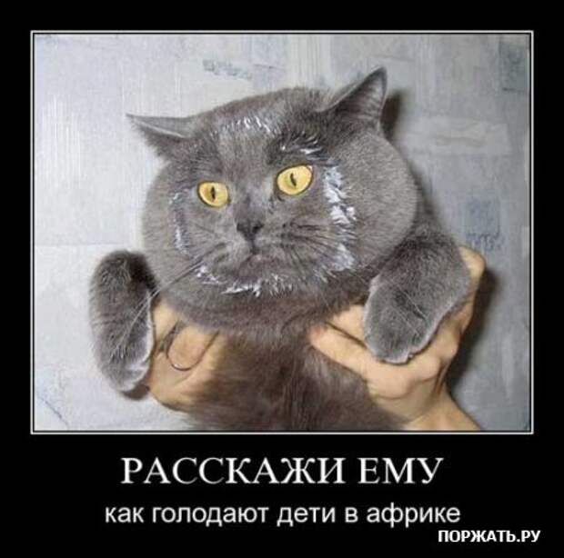 Подборка демотиваторов и хорошего настроения!