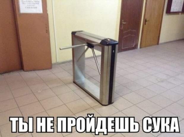 Фотоприколы в ассортименте Фотоприколы в ассортименте