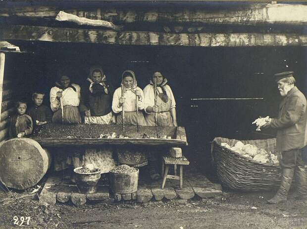 Рубка капусты Неизвестный автор, 1900 - 1905 год, Оренбургская губ., Кунсткамера.