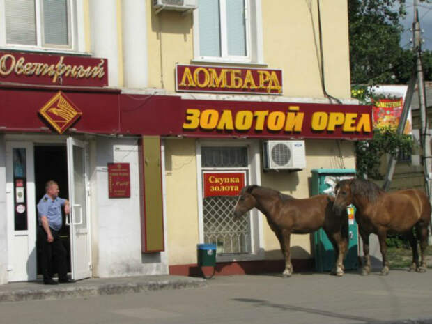 Лошади «припаркованные» у магазина. Лошади «припаркованные» у магазина.