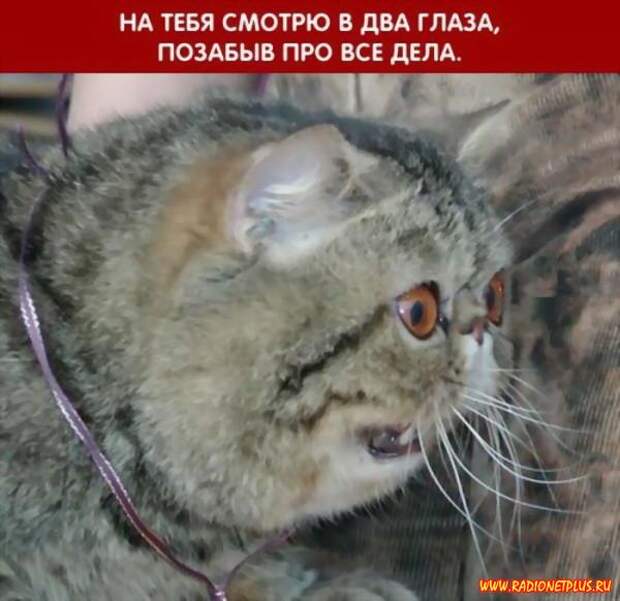 Неужели ПЯТНИЦА?!!