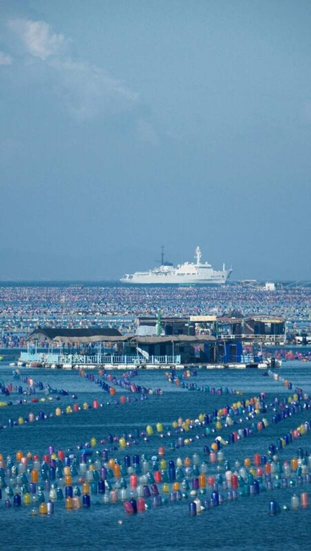 Круизная индустрия: мощный двигатель экономики прибрежных городов