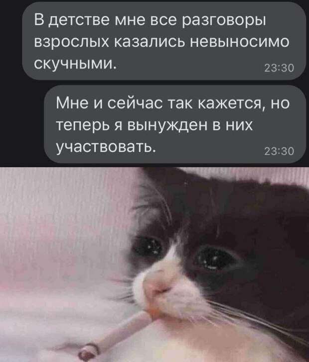 приколы дня (21)